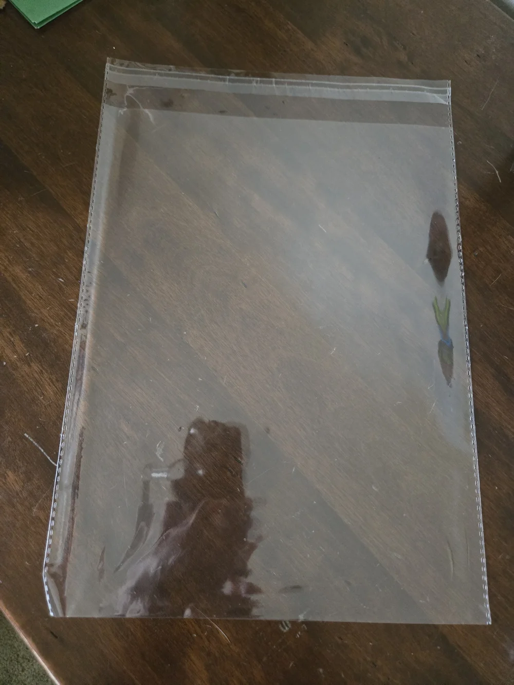 Poly Resealable Clear Packaging Bags  Professional Office Shipping Supply 10